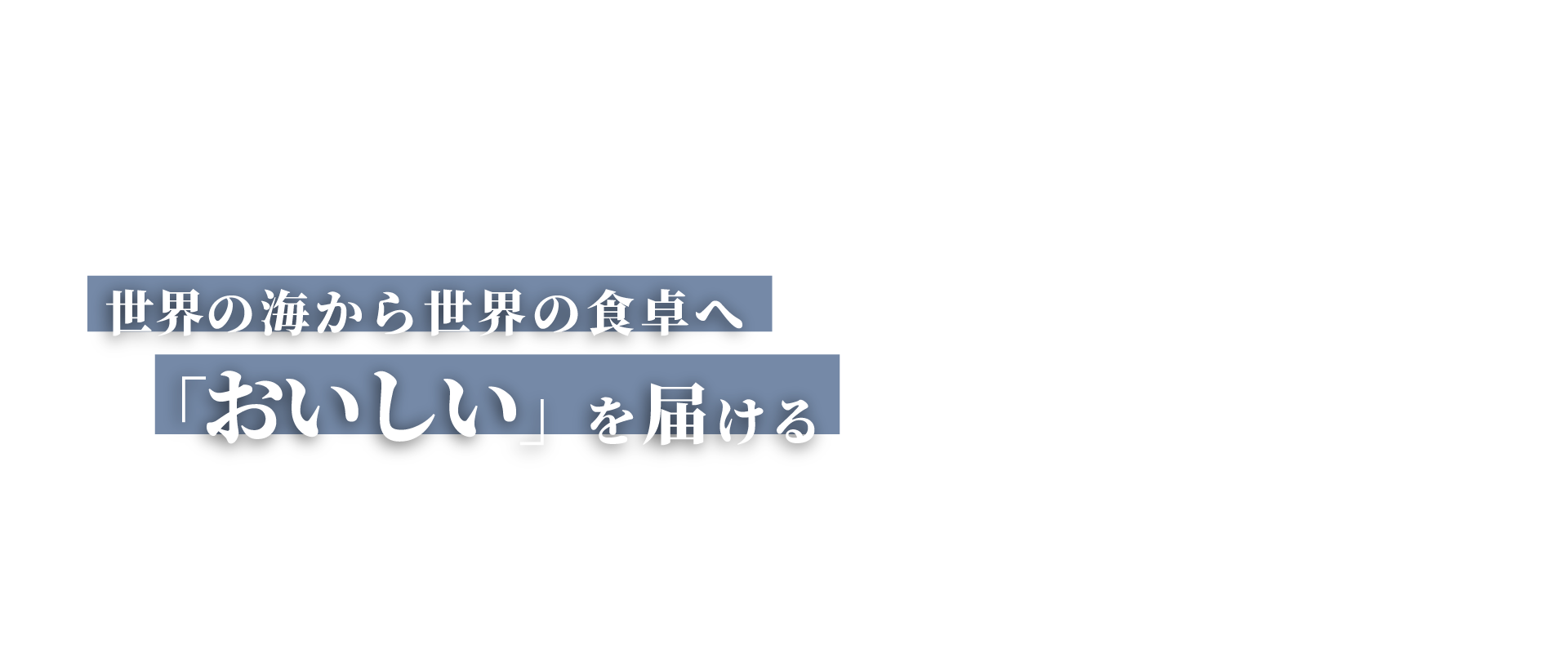 世界の海から世界の食卓へ「おいしい」を届ける